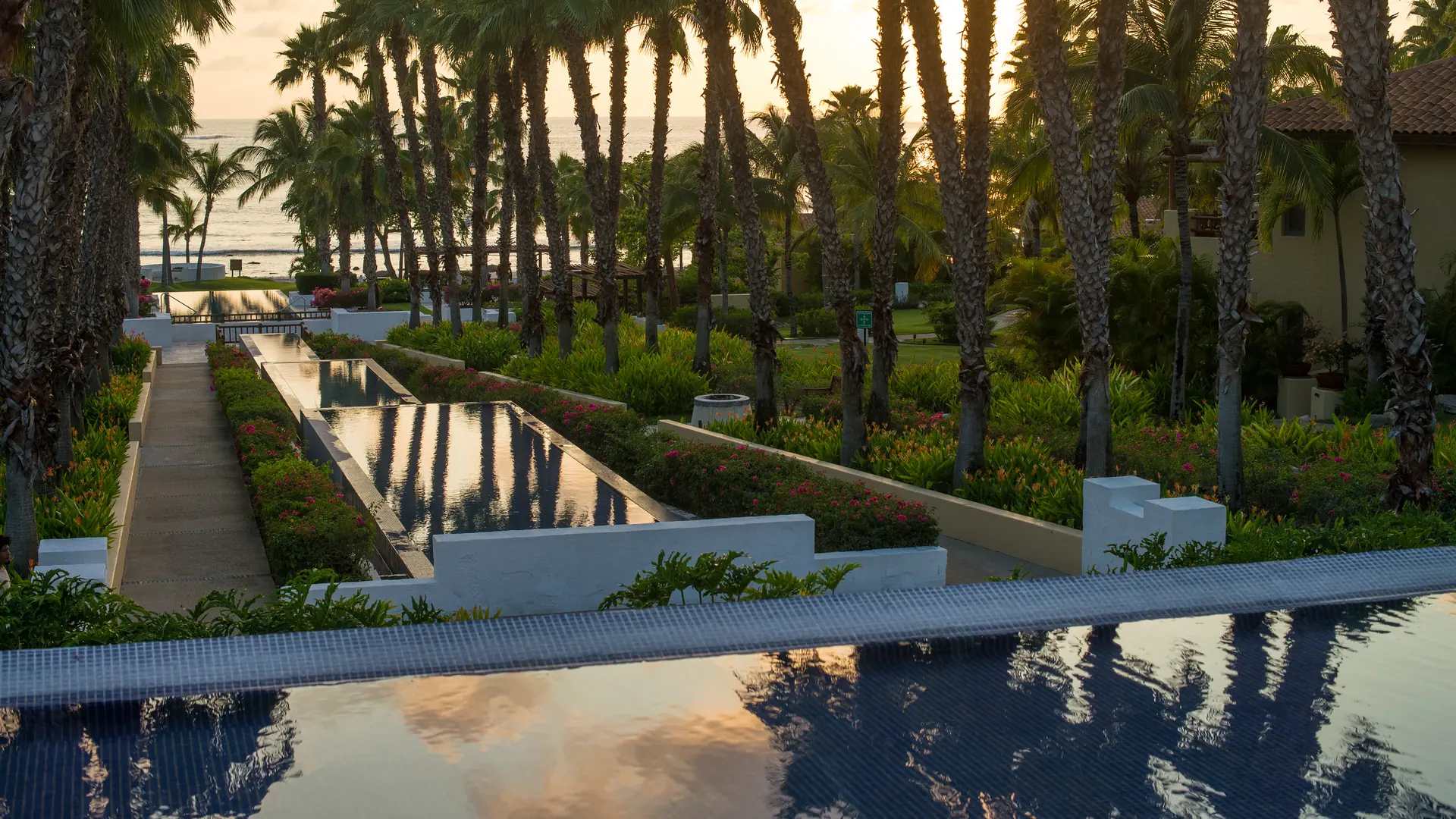 Luz del final del día en los jardines del St. Regis Punta Mita, con espejos de agua que bajan hacia el Pacífico entre hileras de palmas.